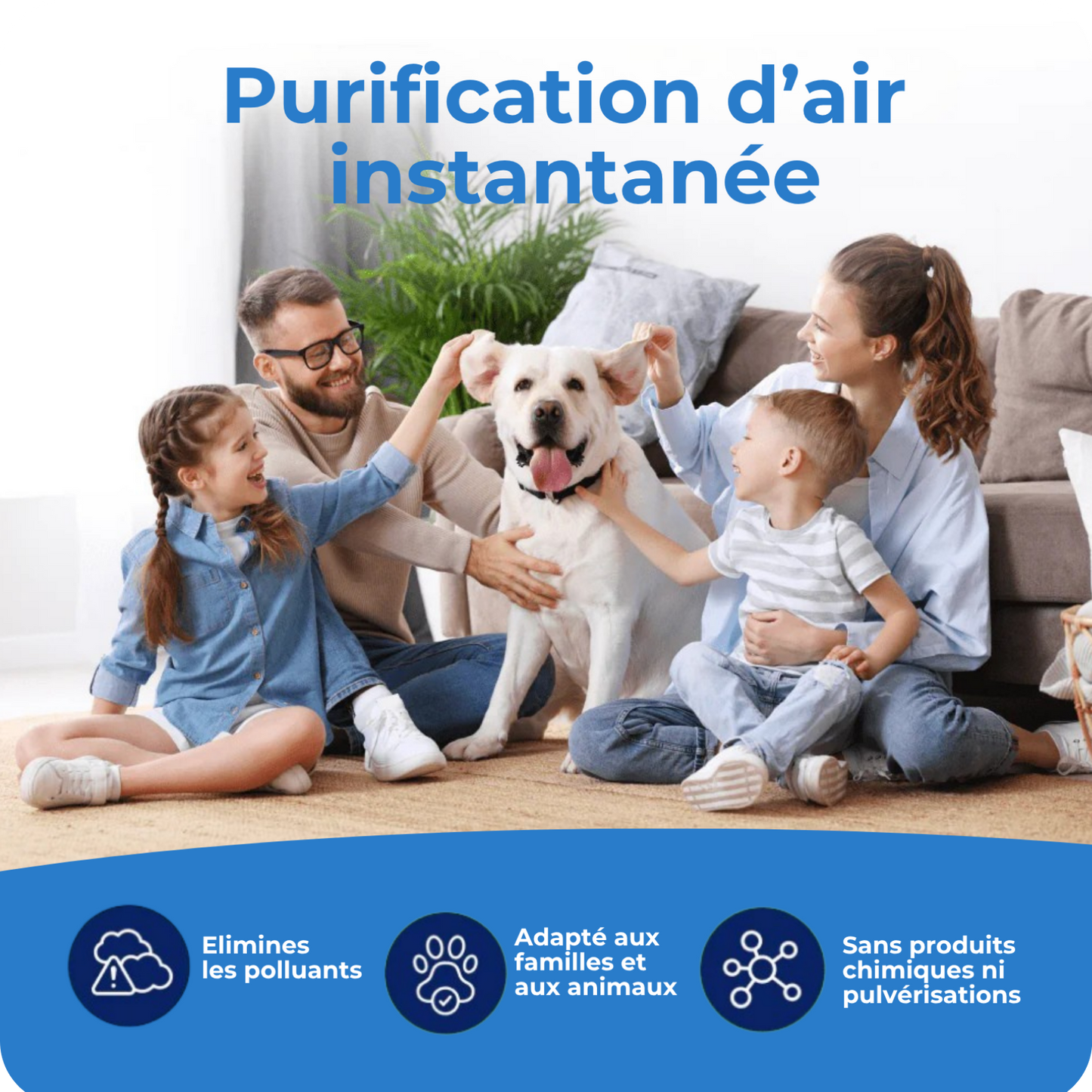 Purificateur d’air — élimine les odeurs de chien et les parasites