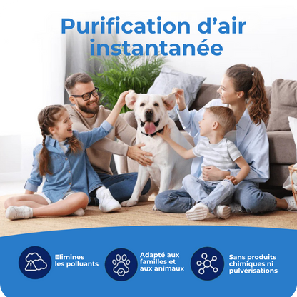 Purificateur d’air — élimine les odeurs de chien et les parasites