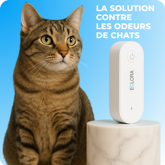 Purificateur d'air pour chat, odeurs et litière
