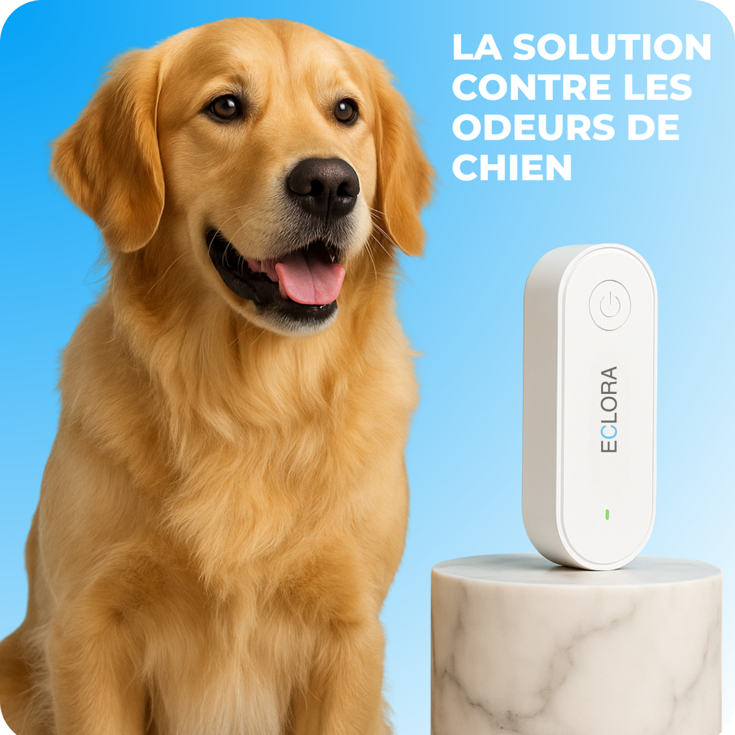 Purificateur d’air — élimine les odeurs de chien et les parasites