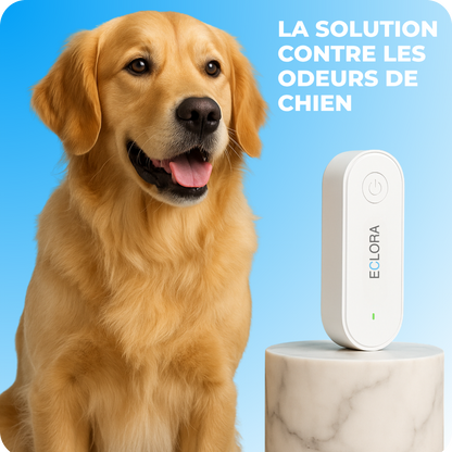 Purificateur d’air — élimine les odeurs de chien et les parasites